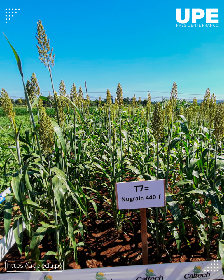 Broche de Oro con las Exposiciones de Campo de los Alumnos de Agronomía: Clausura en el Campo Experimental